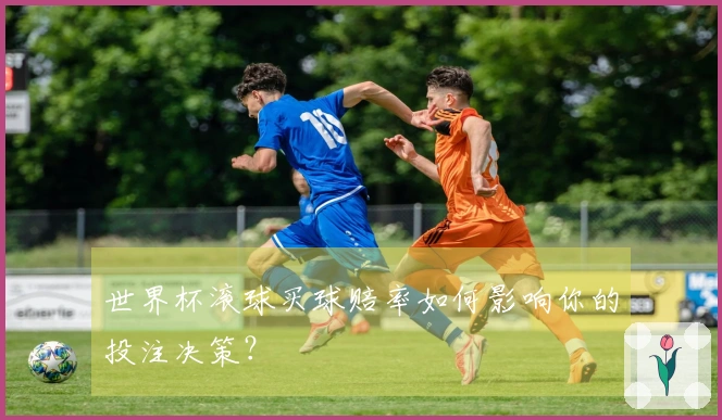 世界杯滚球买球赔率如何影响你的投注决策?