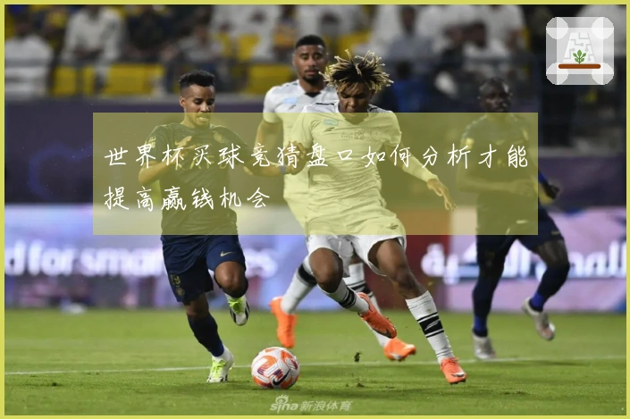 世界杯买球竞猜盘口如何分析才能提高赢钱机会