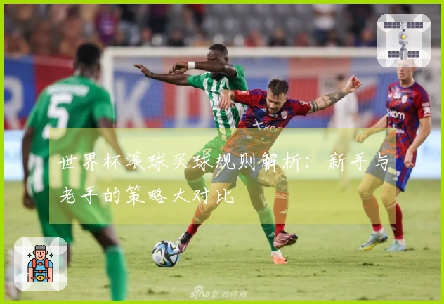 世界杯滚球买球规则解析：新手与老手的策略大对比