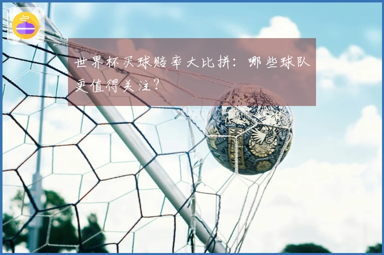 世界杯买球赔率大比拼：哪些球队更值得关注？