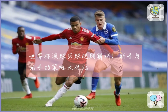 世界杯滚球买球规则解析：新手与老手的策略大对比