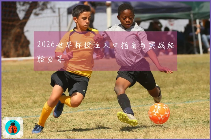 2026世界杯投注入口指南与实战经验分享